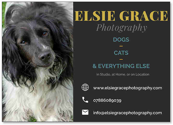 Elsie Gray Photography